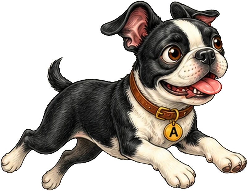 Albert, Midnight's black-and-white dog, wearing a collar with an A tag